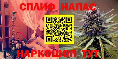 прущие грибы Ирбит