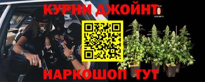 прущие грибы Ирбит